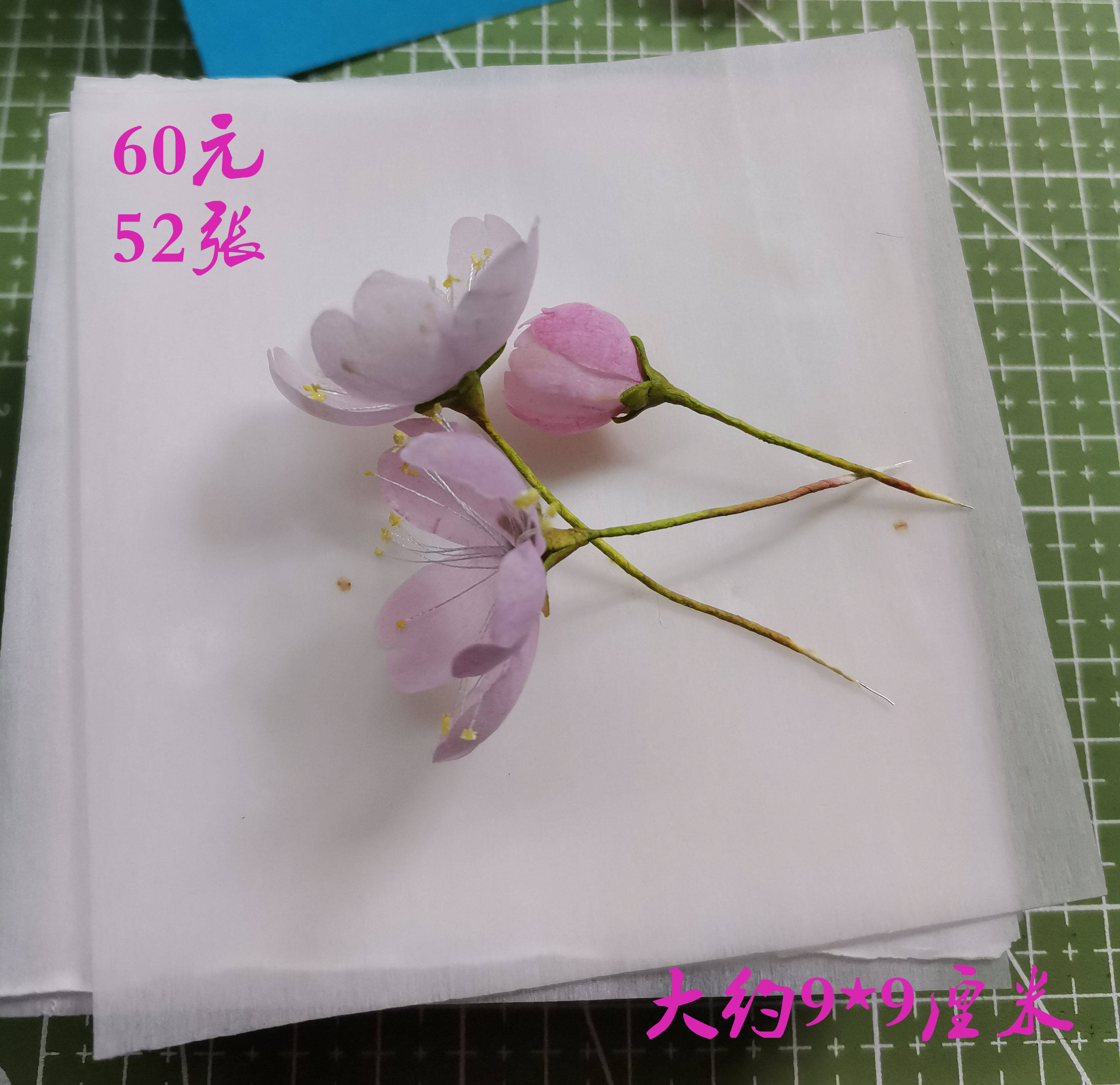 通草花开 非遗通草花制作手工diy材料 超薄通草纸 传统手工通草片