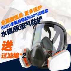 6800配6009全面型防毒面具防水银汞蒸气化工面罩