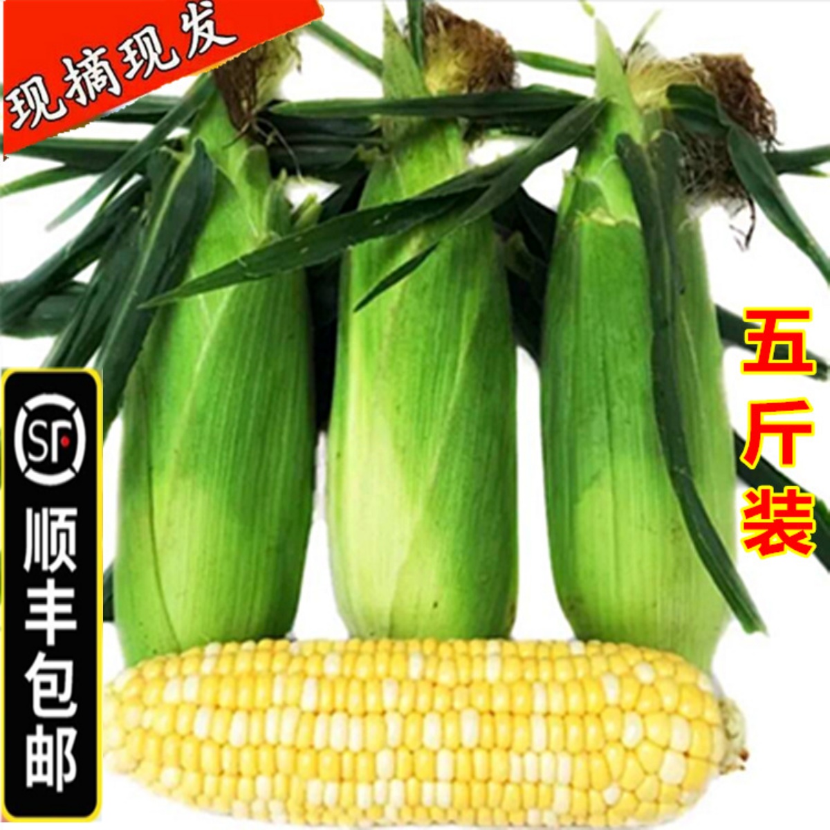 【顺丰包邮】10斤湖北水果玉米新鲜