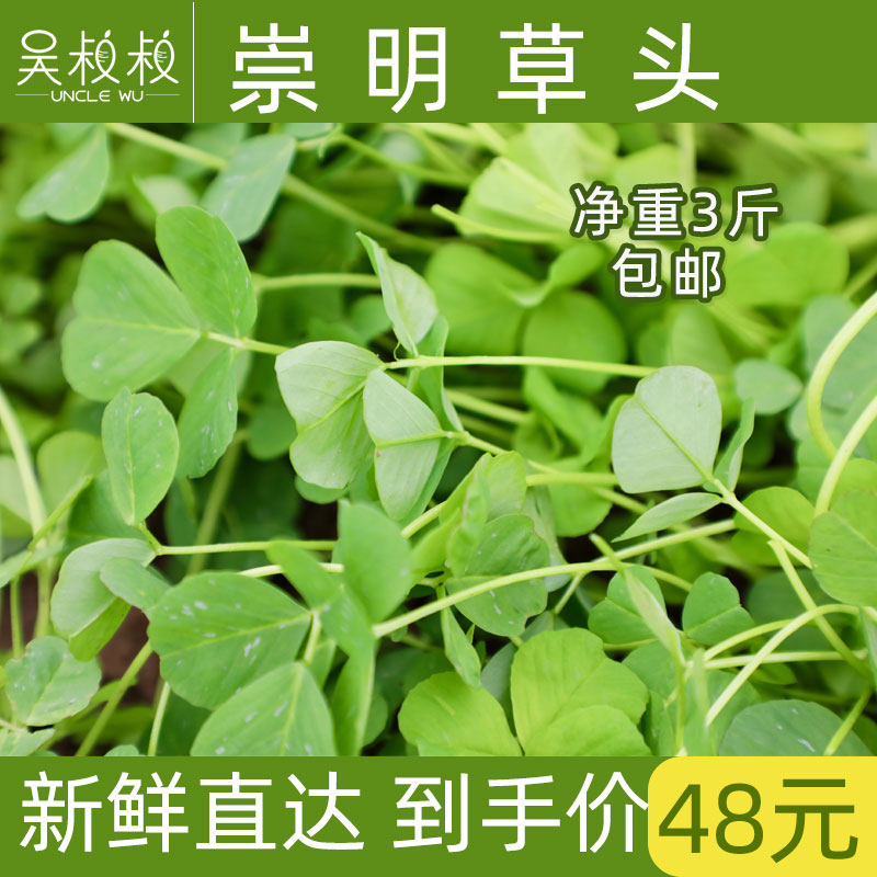 上海崇明草头金花菜三叶菜新鲜包邮秧草黄花南苜食用3斤装