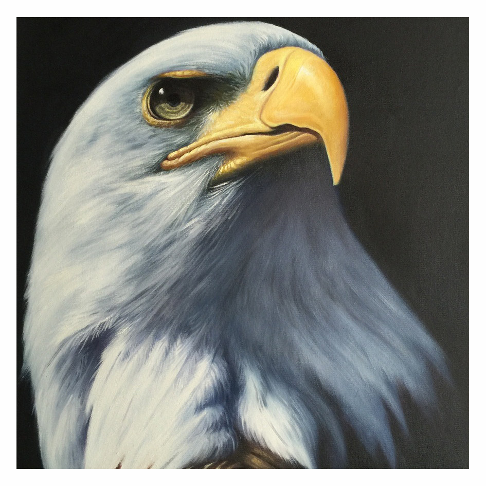 高敏《老鹰》实力派画家