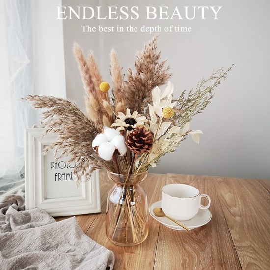 文艺天然干花束雏菊兔尾草ins摆设