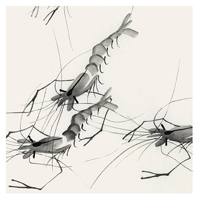 董长青《虾》齐白石门人国画大师 中国书画家协会会员