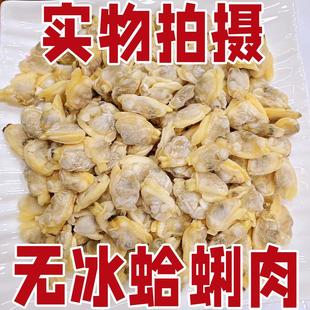 新鲜特大花蛤肉干冷冻无沙蛤蜊肉鲜活即食花甲肉蚬子肉无冰衣商用