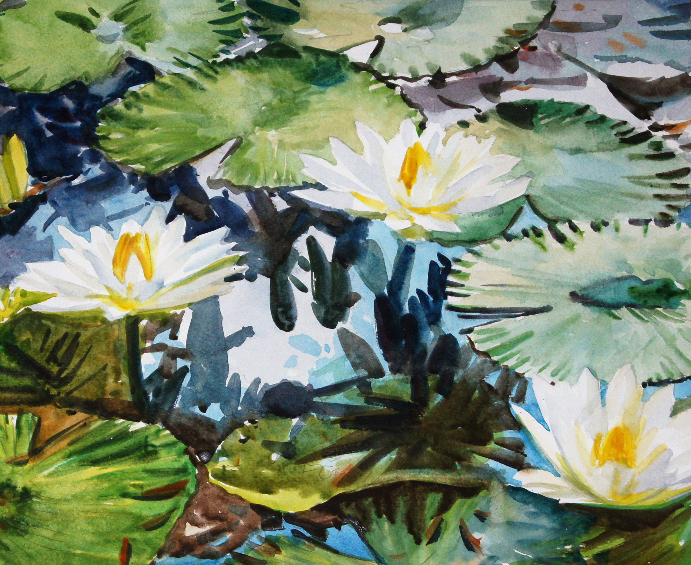 清华美院 杨阳 原创真品典藏《睡莲系列》两张