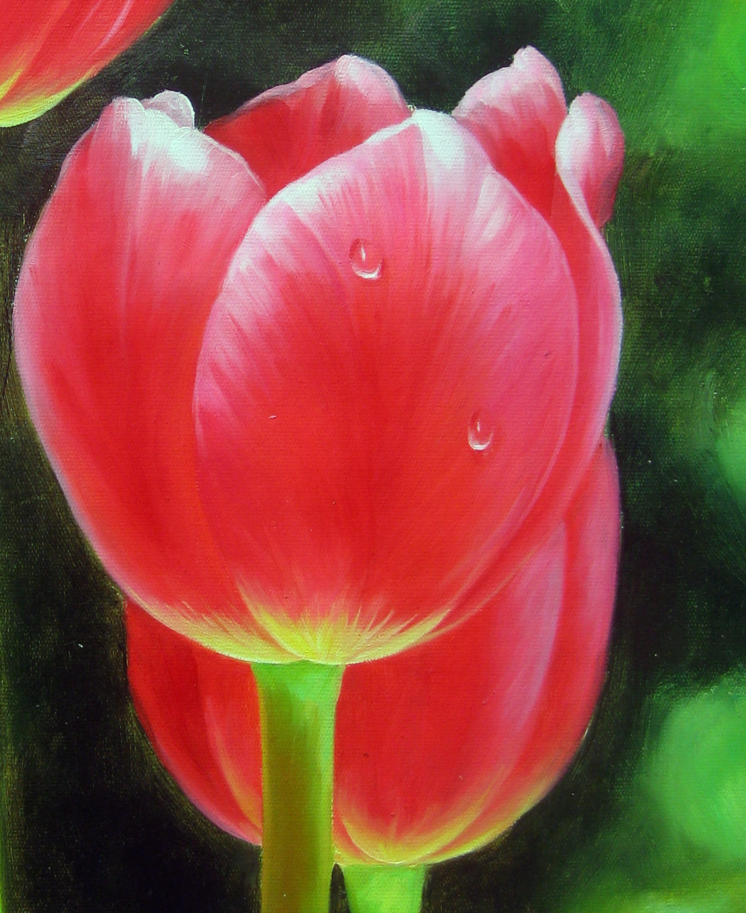 许时垦《郁金香》青年实力派书画家 布面油画