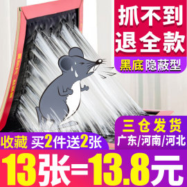 粘鼠板强力加大灭鼠老鼠贴老鼠胶实惠装家用捕鼠正品夹药克星神器