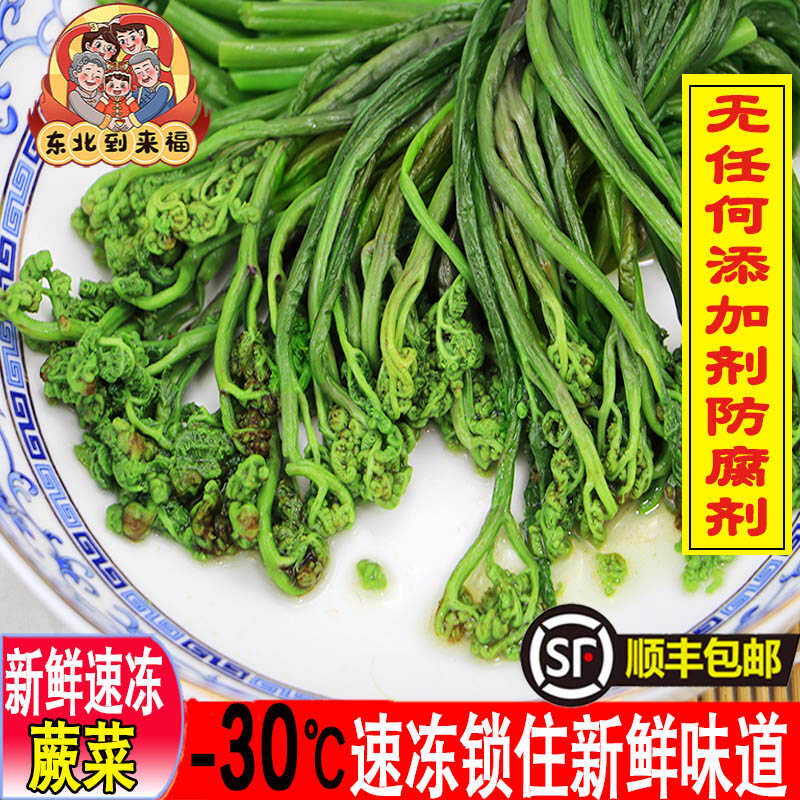 顺丰包邮野生新鲜蕨菜东北特产猫爪拳头菜速冻山野菜无添加剂山菜