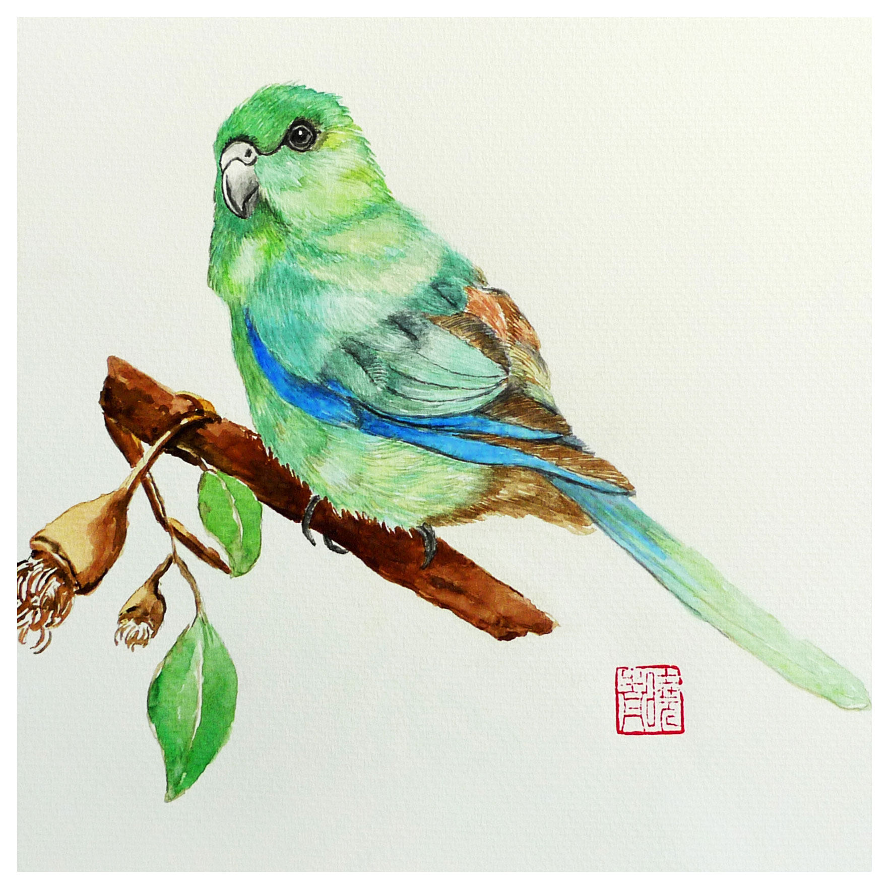 陈晓青《鹦鹉》水彩