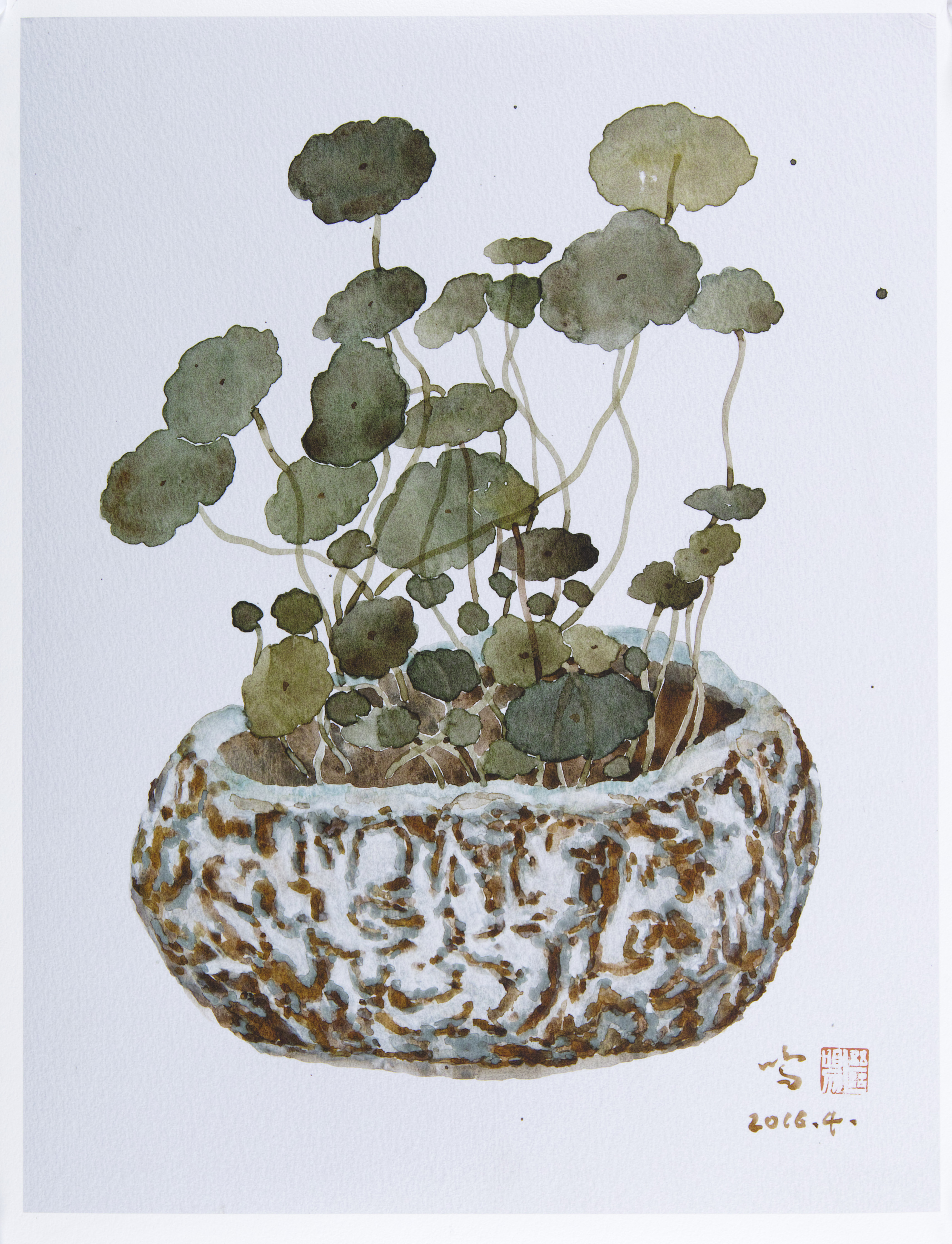 丁继鸣《盆花之铜钱草》版画系列