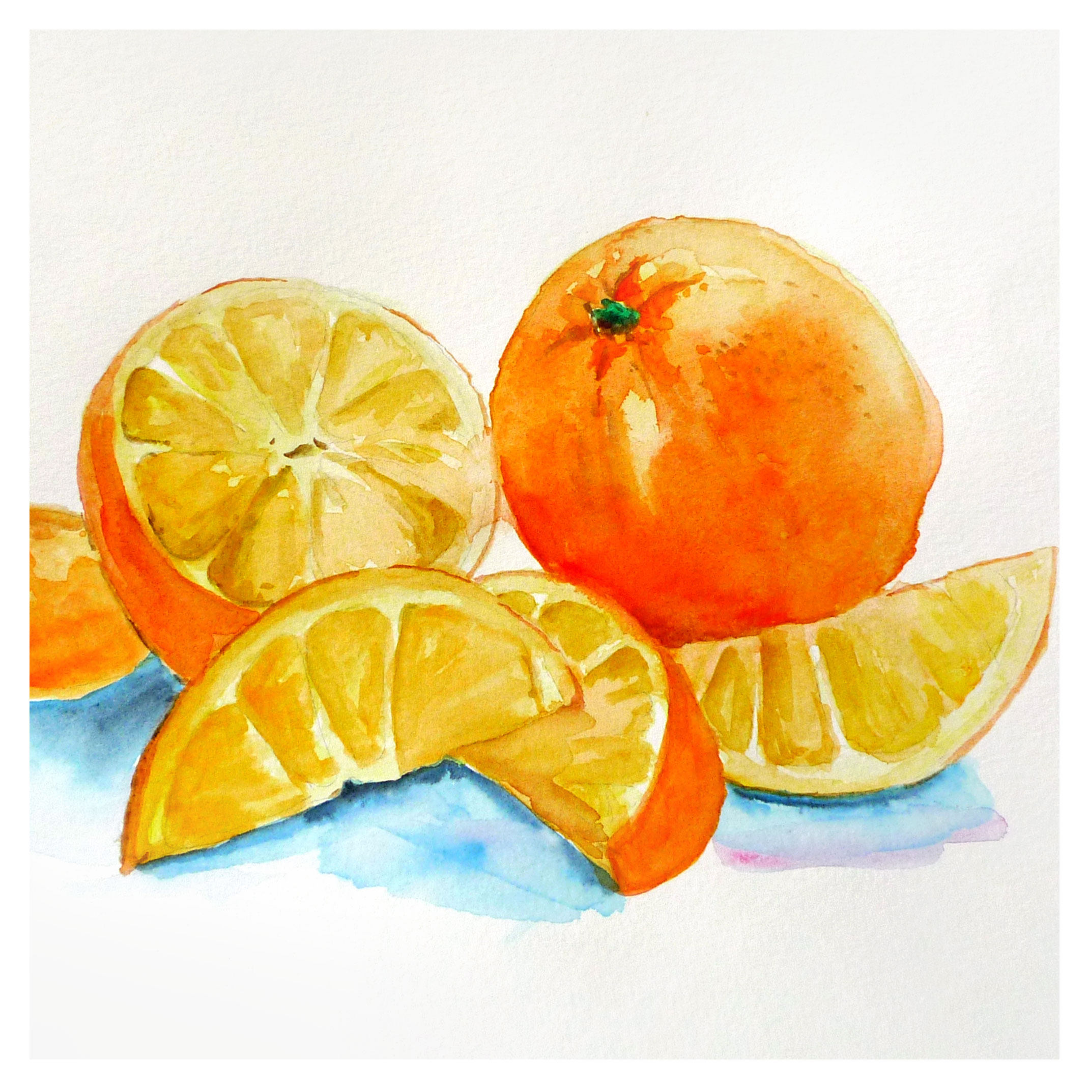 陈晓青《橙子》水彩