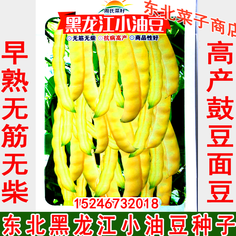 东北黄豆角种子 开锅烂面豆鼓豆 黑珍珠 原装黑龙江小油豆种子在类目 农用物资, 种子/种苗, 蔬菜种子中 - 来自Buy2taobao.com提供专业的淘宝代购服务