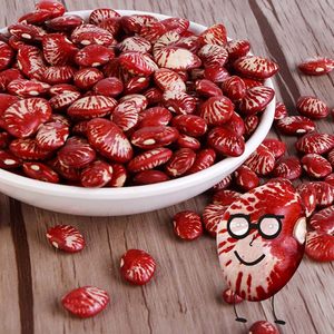 日本购豆巴米天然椰棕婴儿床垫无甲醛幼儿园宝宝床垫子