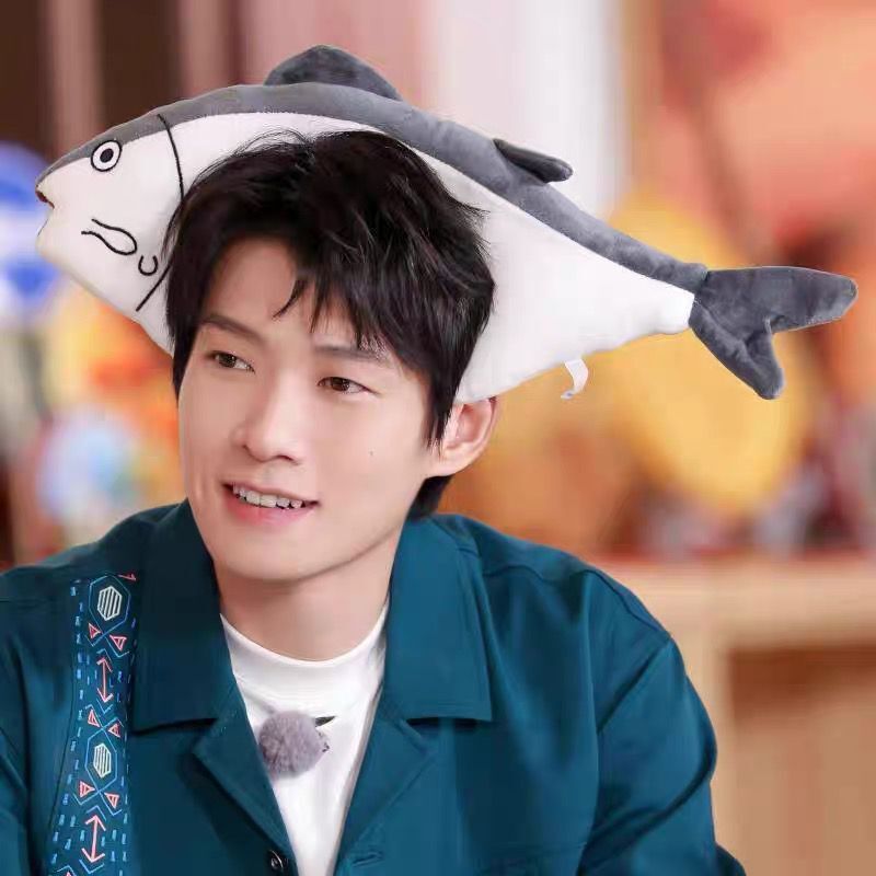 魏大勋同款咸鱼发箍女夏季洗脸头箍卡头套搞怪可爱跑男奔跑吧头饰