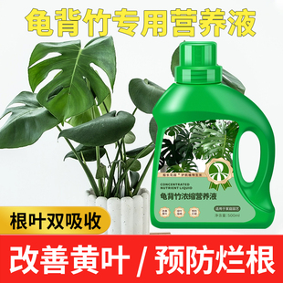 龟背竹营养液水培专用肥促生根观赏叶室内植物缓释浓缩龟背竹肥料