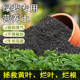 绿萝专用营养土家用盆栽花卉土绿植水培营养液花肥有机种植泥土壤