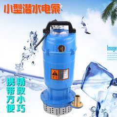 家用潜水泵220v小型潜水泵抽水泵抽水机清水泵喷泉喷灌泵