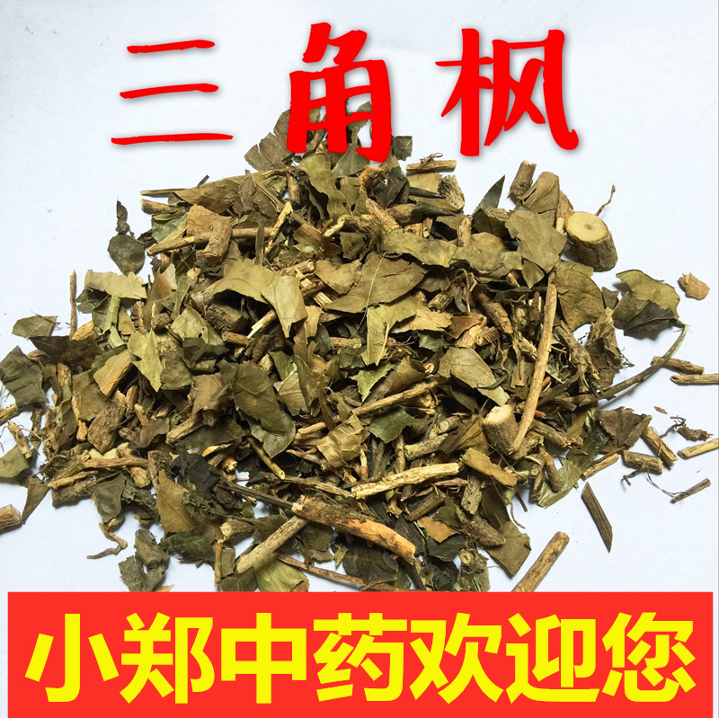 三角风野生三角枫大叶爬山虎中药材