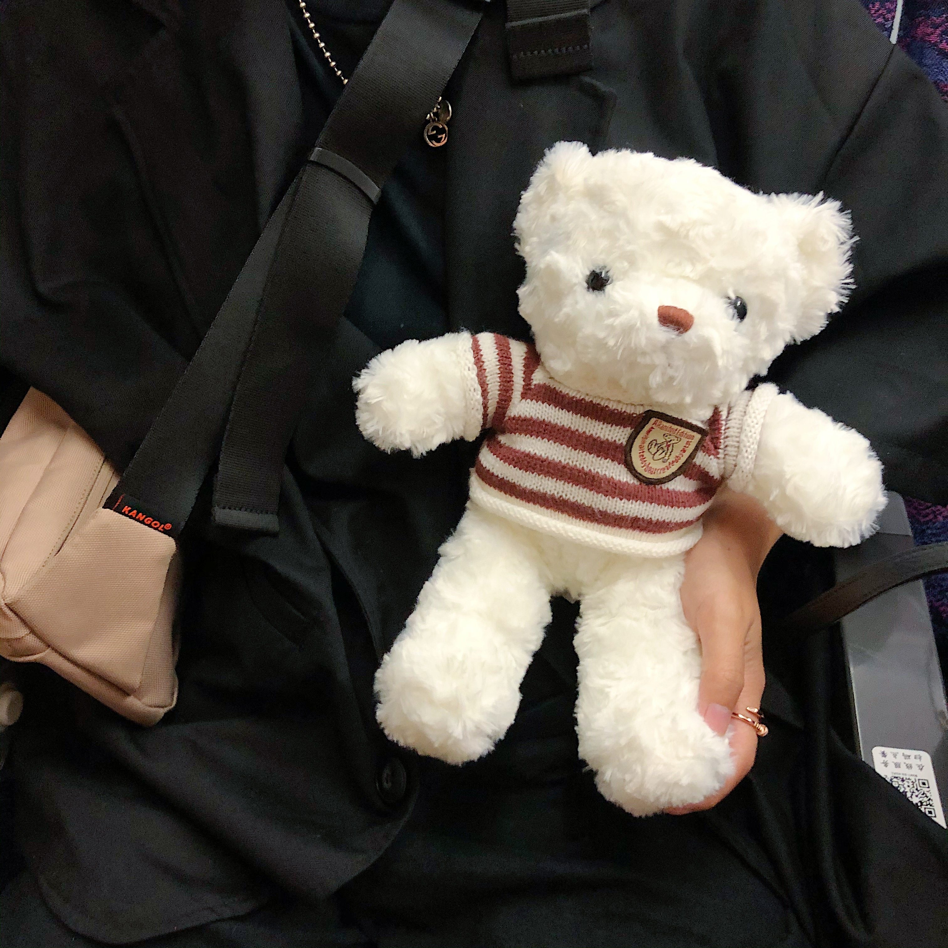 可爱ins泰迪小熊玩偶治愈公仔情侣女毛绒玩具创意送女友生日礼物