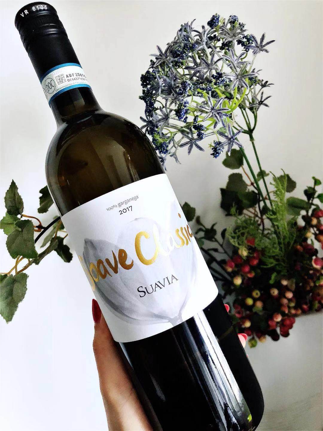 【经典索阿维】意大利进口soave classico 苏娅薇经典白葡萄酒