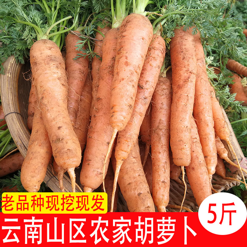云南农家新鲜胡萝卜红胡萝卜老品种萝卜头5斤装新鲜蔬菜胡萝卜