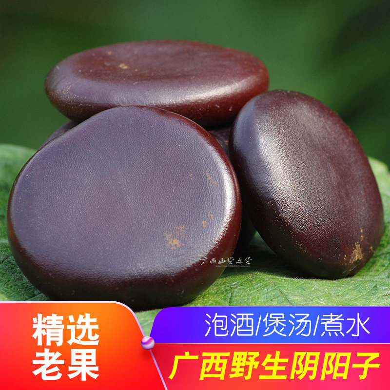 广西野生阴阳子250g肾果过江龙子木腰子泡酒料肾树宝