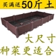双排阳台种植箱家用塑料花盆楼顶种菜盆长方形种菜神器种菜箱新款