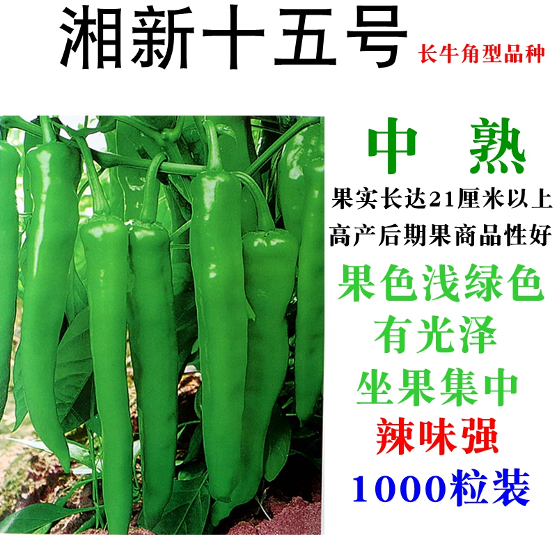 湘研辣椒种子