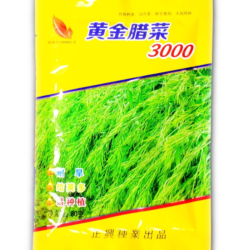 油菜种子黄油菜黄籽油菜腊油菜黄金腊菜中熟生育期208天耐旱耐瘠