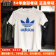 阿迪达斯三叶草女子短袖Adidas新款大LOGO纯棉运动跑步T恤FJ9451