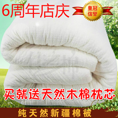 新疆棉花被子 棉被/被褥/被芯/棉褥/单人被/双人被/褥子8斤