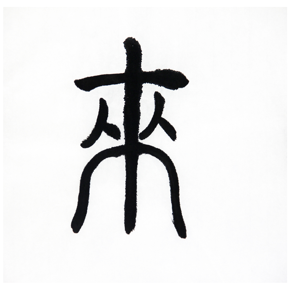 许文广《篆书》极具收藏价值t437