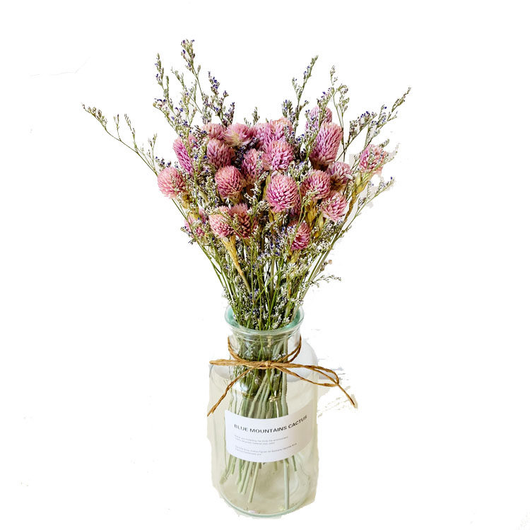 千日粉干花花束 北欧风ins小清新客厅家居装饰摆件干花套装 玫瑰