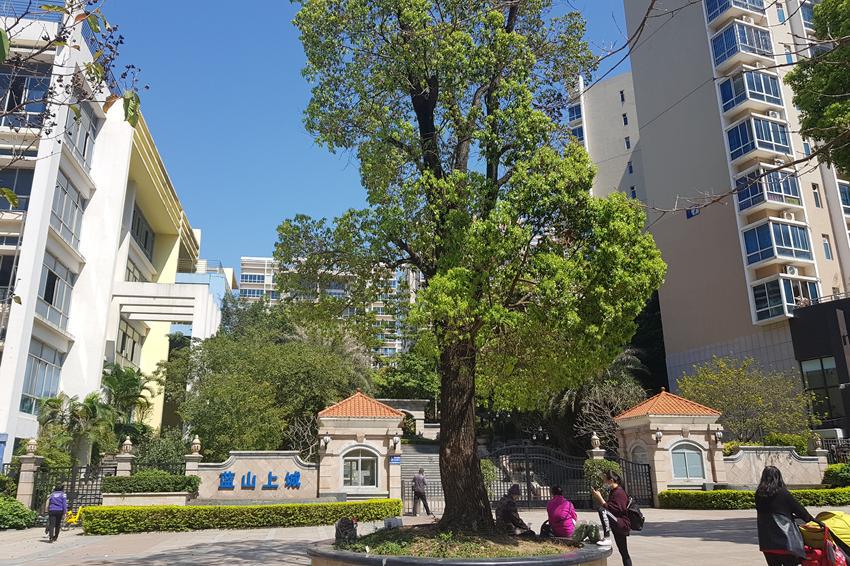 【第一次拍卖】南宁市青秀区凤翔路6号蓝山上城12号楼3单元1701号房