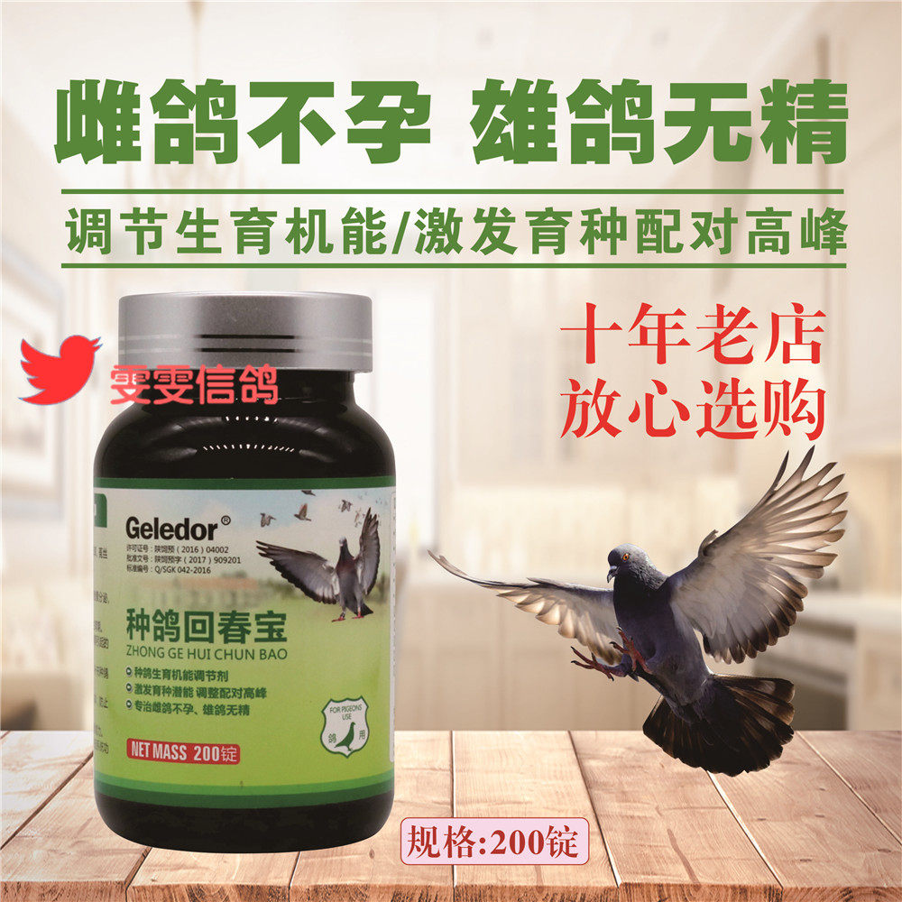 格莱德种鸽回春宝200锭雌鸽不育雄鸽无精不下蛋调理药鸽子药大全
