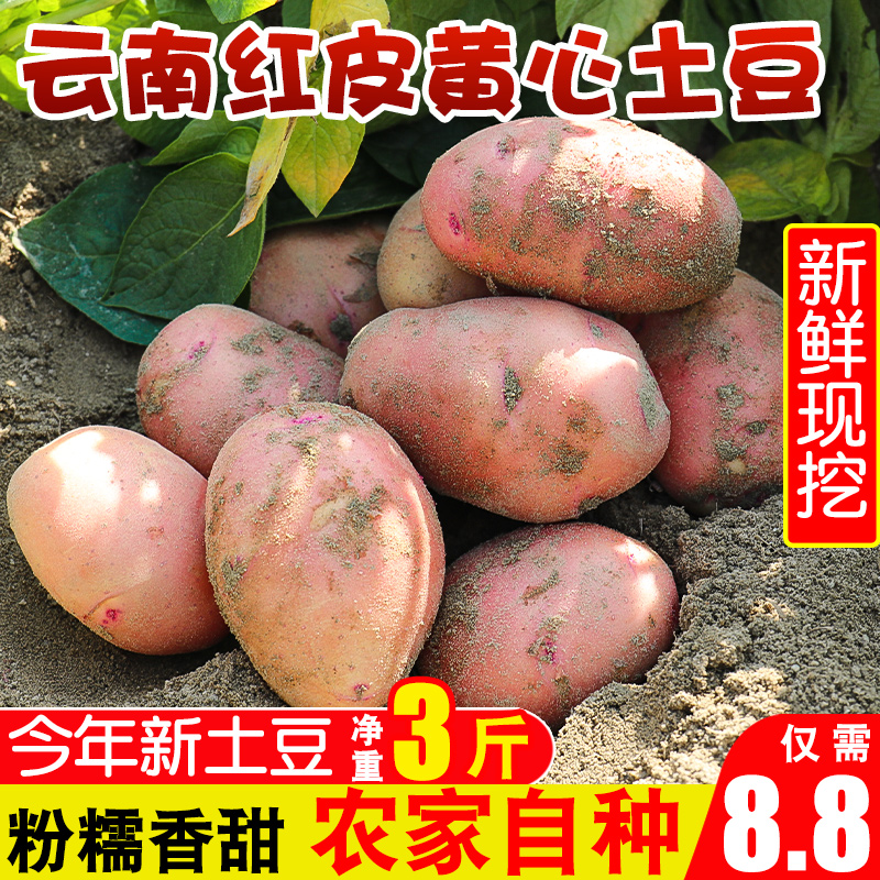 Yunnan Redskins Yellow Heart Large Potato fresh Potato 10 Farm Vegetables Small potatoes wholesale Potatoin the Aquatic meat/Fresh fruits and vegetables/Cooked , Fresh vegetables/Vegetable products , Fresh vegetables , Potato category - from Buy2taobao.com to provide professional Taobao agent buy service