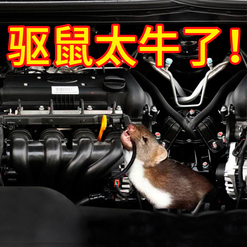 汽车发动机防老鼠