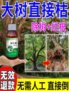 除大树烂根专用药一滴树死杀树烂根强力除草腐蚀剂环嗪哃酮枯树王