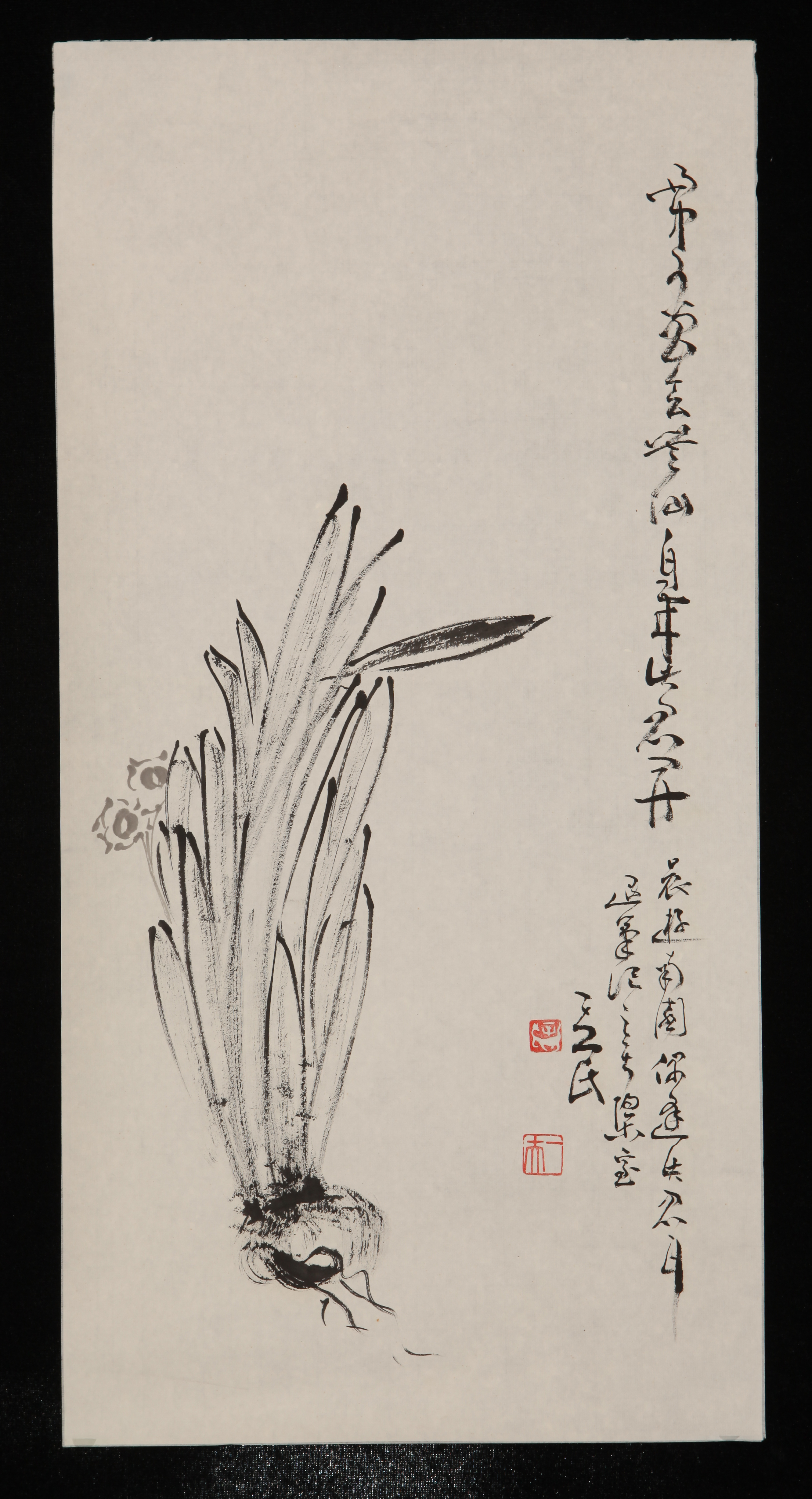 辛一夫 水仙 附合影 tb177297