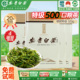 竹乡安吉白茶2025新茶明前特级罐装礼盒官方旗舰店正品口粮茶500g