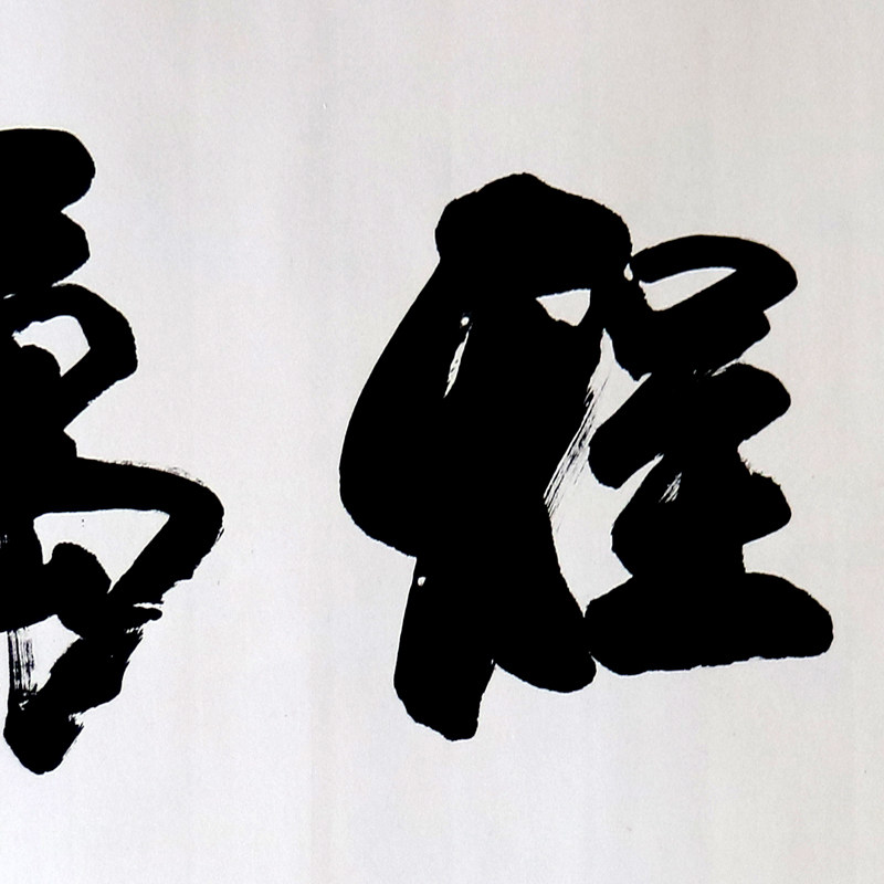 祝家锋《鹏程万里》著名书法家