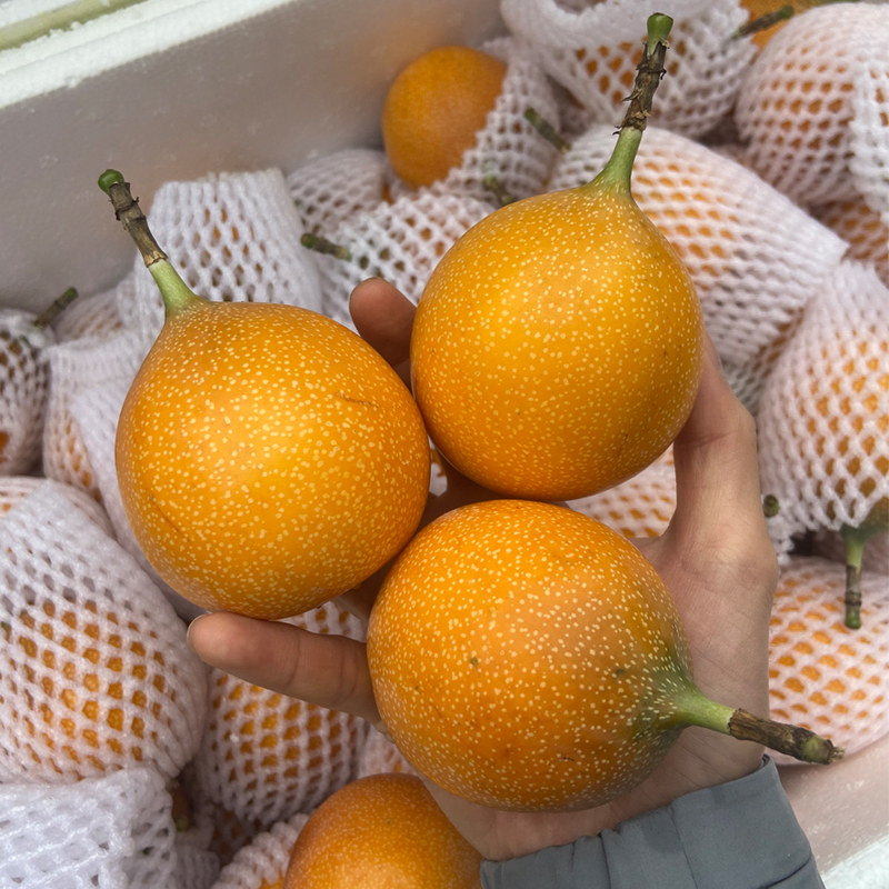 都太优惠专场,最新打折特卖商品,淘宝天猫优惠券领取-35优惠券网站