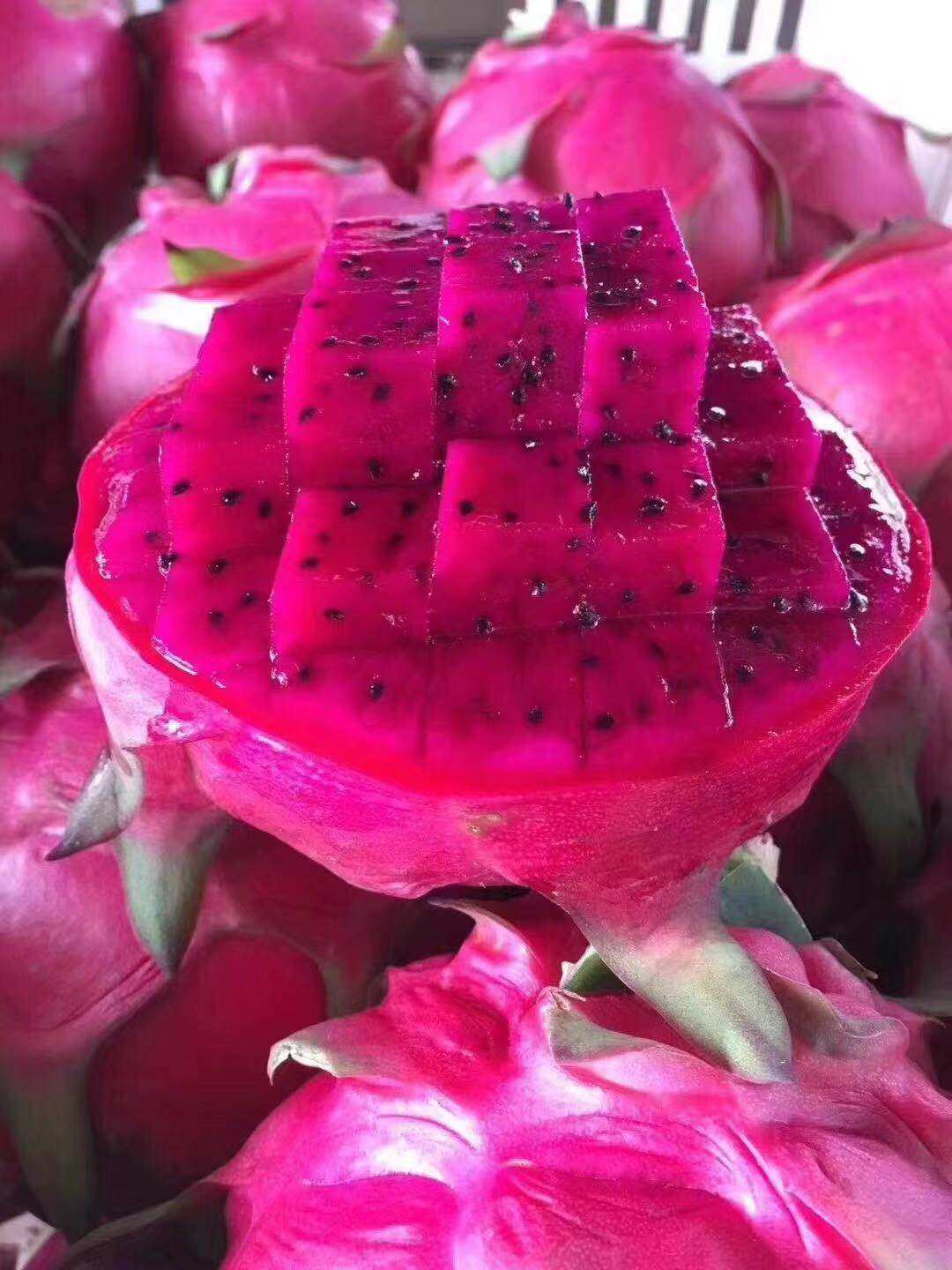 包邮 海南三亚海南红心火龙果新鲜水果海南水果京都一号蜜宝红心火龙