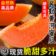甘肃民勤黄河蜜瓜甜瓜水果新鲜当季整箱沙漠黄金哈密瓜脆官方旗舰
