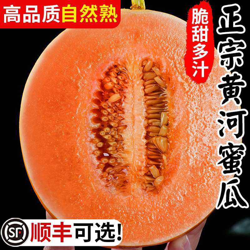 陕西黄河蜜瓜10甜瓜水果新鲜当季整