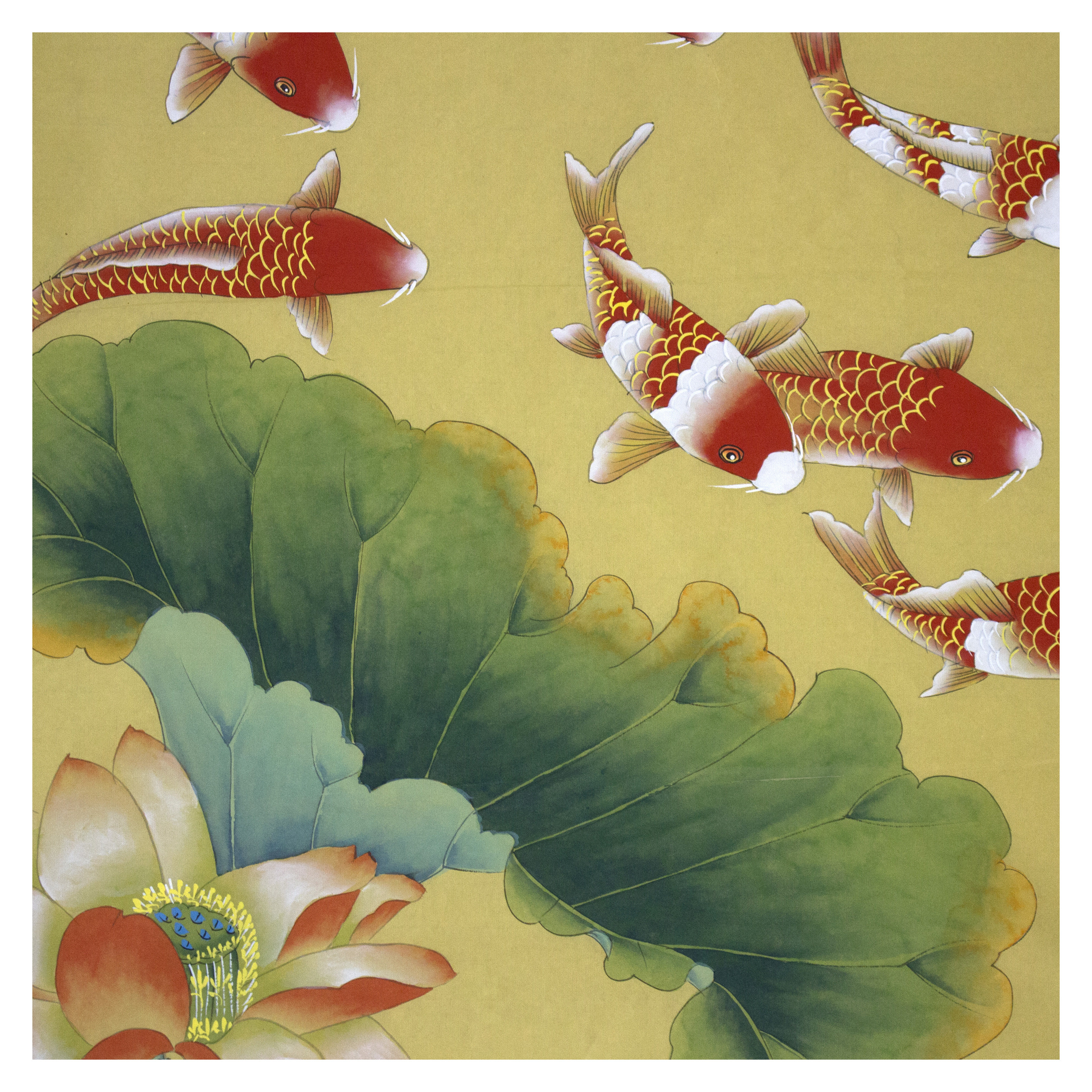 凌雪《年年有余》著名工笔画家 北京美协会员