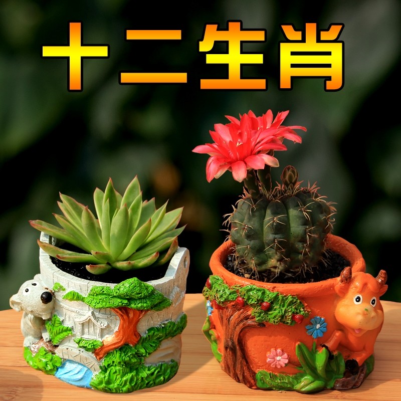 十二生肖手绘树脂花盆创意卡通动物多肉花盆家用圆形方形小花盆