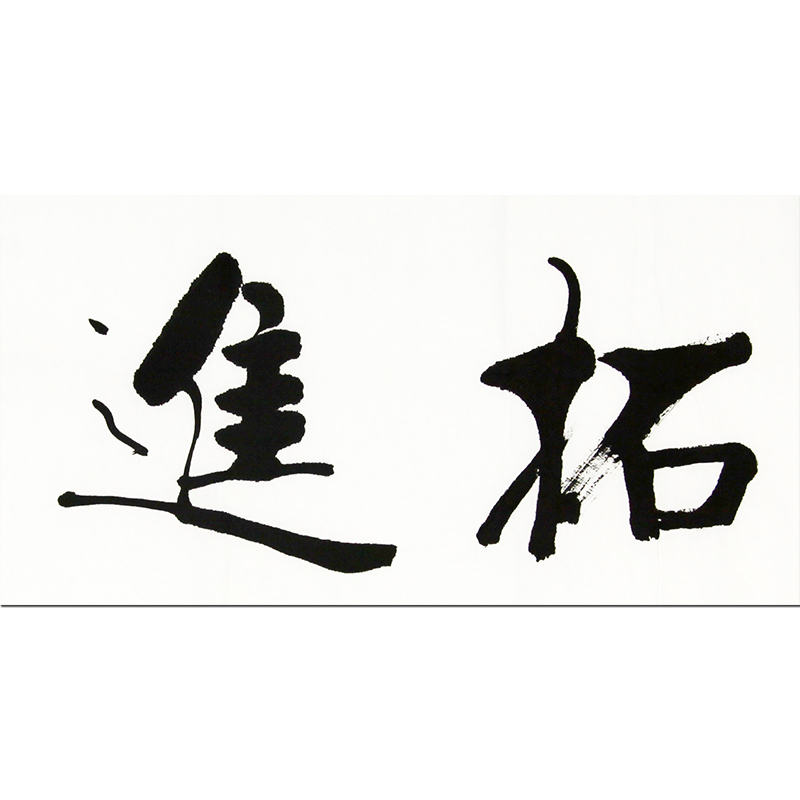 隆相法师《开拓进取》中国佛协会理事 江苏佛协会副会长