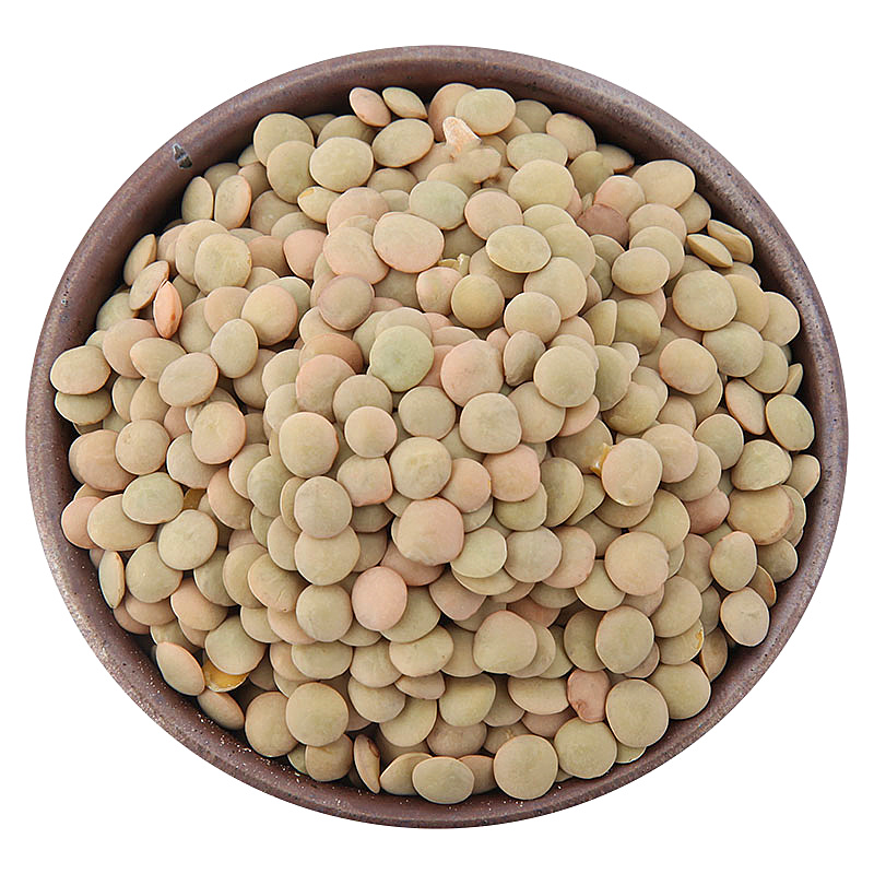 小扁豆48斤新兵豆鸡豆大粒豌豆棕色小扁豆无氧真空装精选杂粮5袋