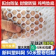 塑料网小孔阳台封窗防猫网 阳台防坠封窗格围栏网阳台儿童防护网